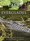 Everglades Florida